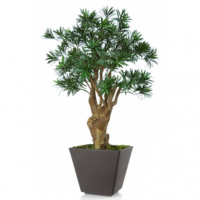 Planta semi-artificiala Ila, Podocarpus Robustina Green - 100 cm